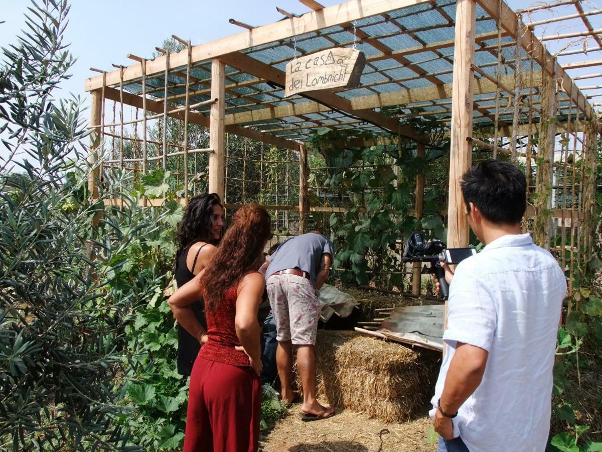 לינה וארוחת בוקר קומיסו Il Filo Di Paglia מראה חיצוני תמונה