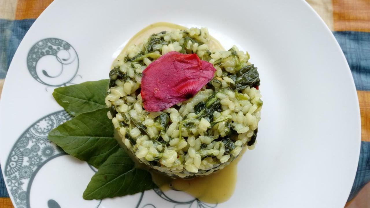 לינה וארוחת בוקר קומיסו Il Filo Di Paglia מראה חיצוני תמונה